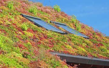 Brightwalton Holt living roof systems